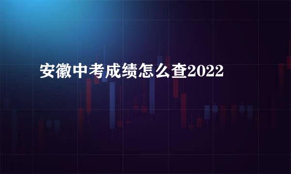 安徽中考成绩怎么查2022