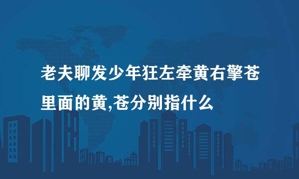 老夫聊发少年狂左牵黄右擎苍里面的黄,苍分别指什么