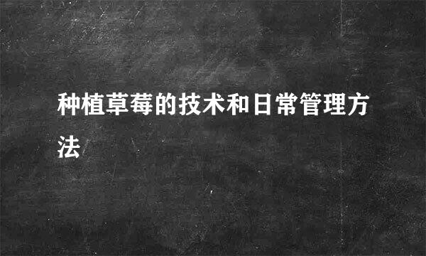种植草莓的技术和日常管理方法