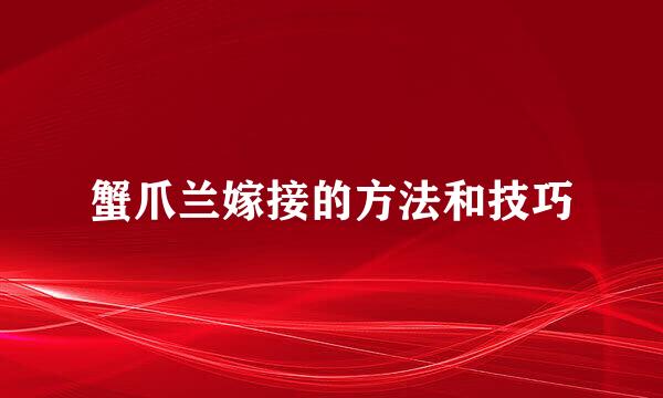 蟹爪兰嫁接的方法和技巧