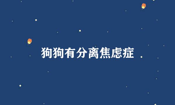 狗狗有分离焦虑症