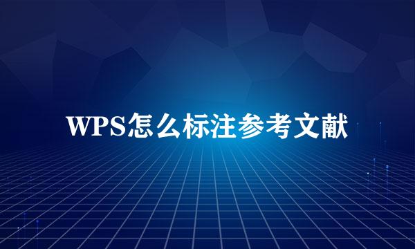 WPS怎么标注参考文献