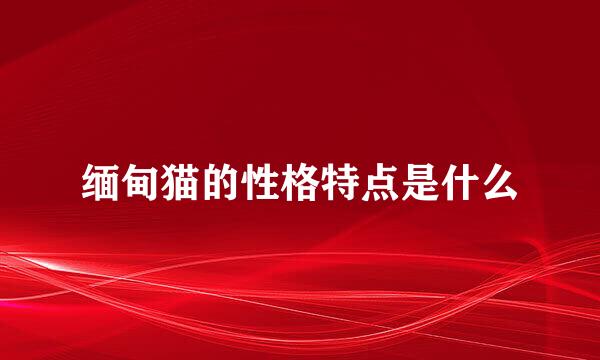 缅甸猫的性格特点是什么
