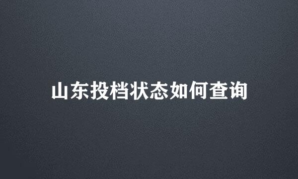 山东投档状态如何查询