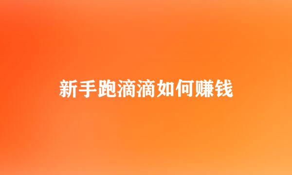 新手跑滴滴如何赚钱