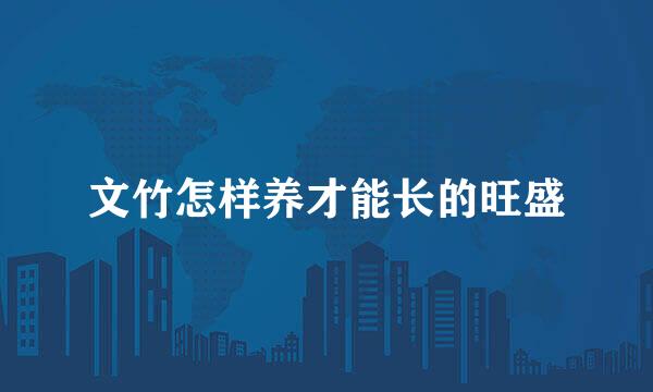 文竹怎样养才能长的旺盛