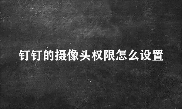 钉钉的摄像头权限怎么设置