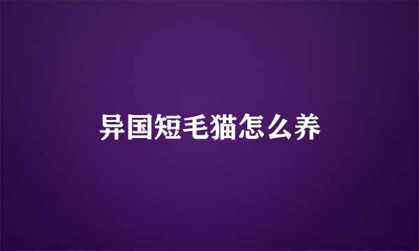 异国短毛猫怎么养