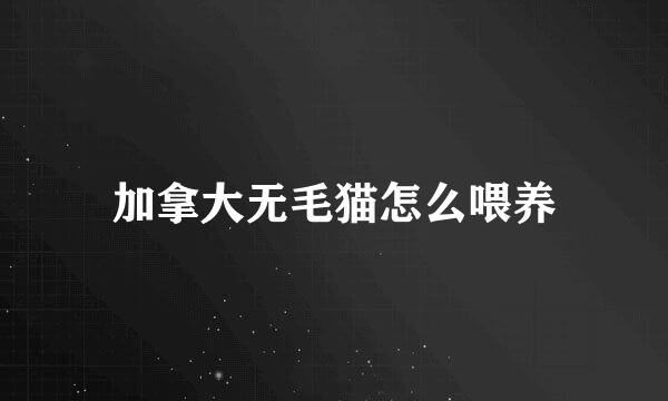 加拿大无毛猫怎么喂养