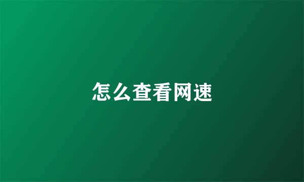 怎么查看网速