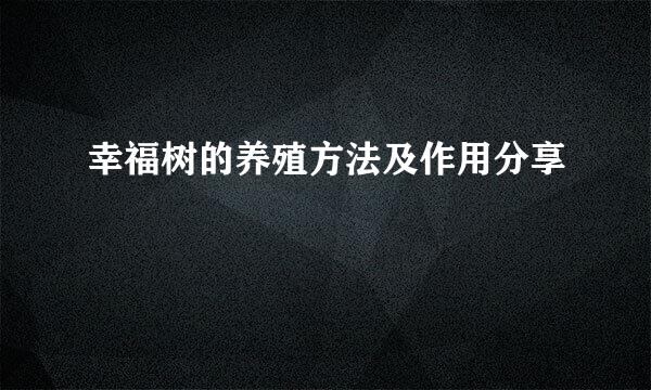幸福树的养殖方法及作用分享