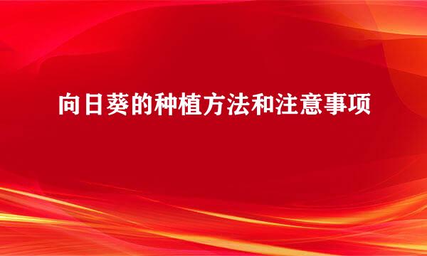 向日葵的种植方法和注意事项