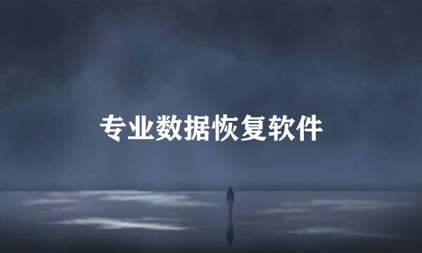 专业数据恢复软件