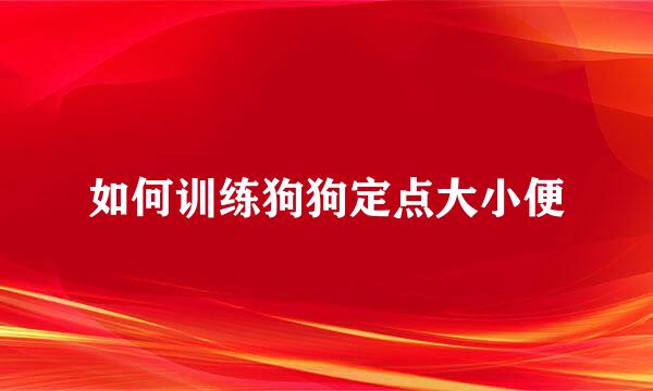 如何训练狗狗定点大小便