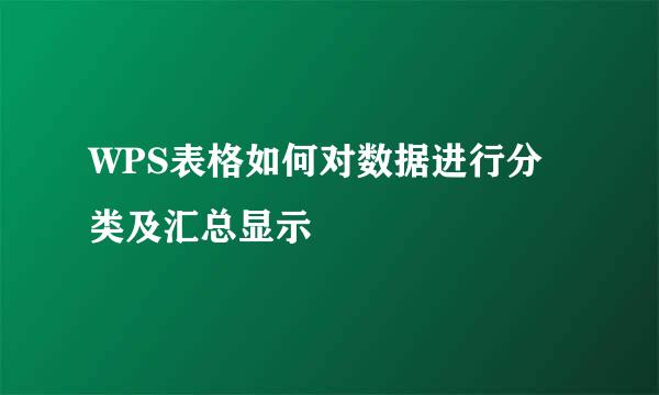 WPS表格如何对数据进行分类及汇总显示