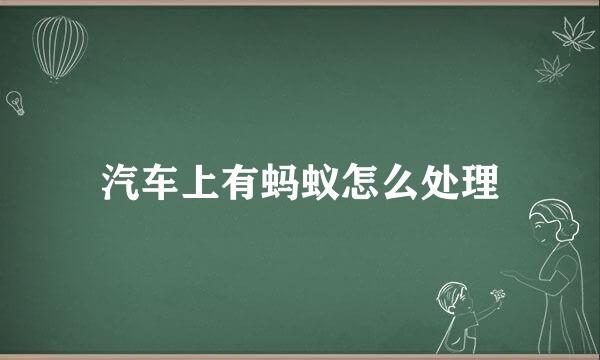 汽车上有蚂蚁怎么处理