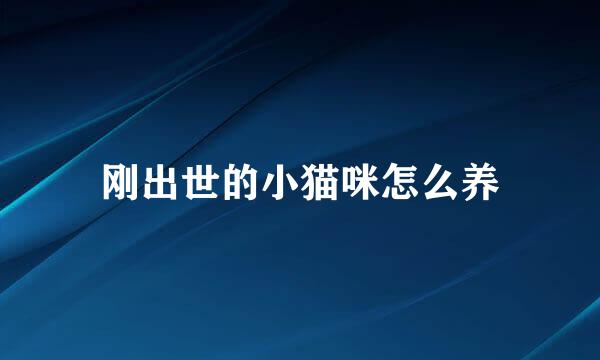 刚出世的小猫咪怎么养