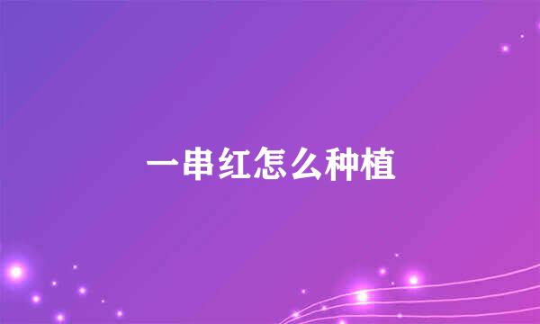 一串红怎么种植