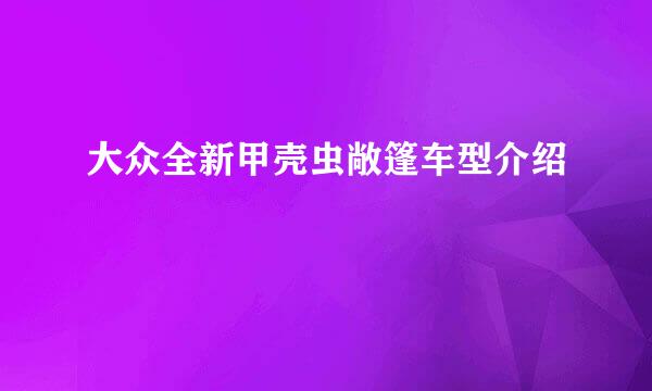 大众全新甲壳虫敞篷车型介绍