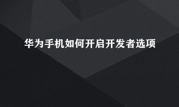 华为手机如何开启开发者选项