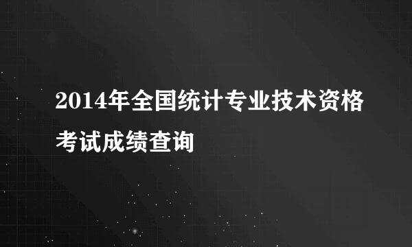 2014年全国统计专业技术资格考试成绩查询