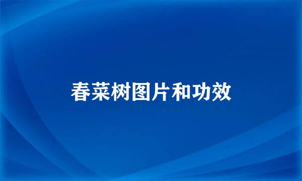 春菜树图片和功效