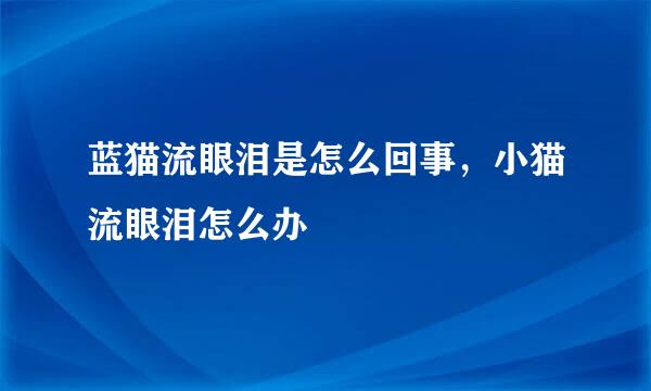 蓝猫流眼泪是怎么回事，小猫流眼泪怎么办