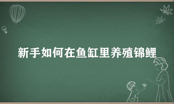 新手如何在鱼缸里养殖锦鲤
