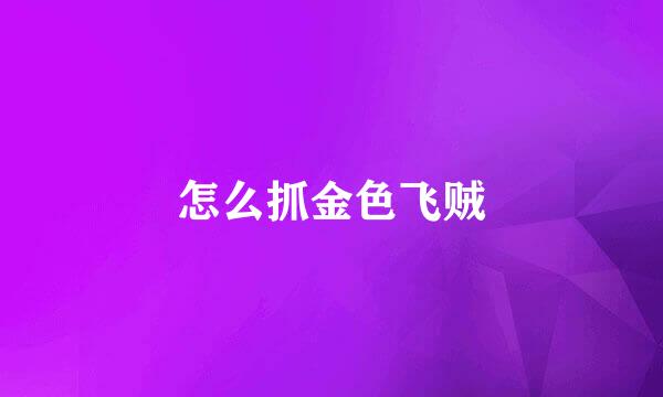 怎么抓金色飞贼