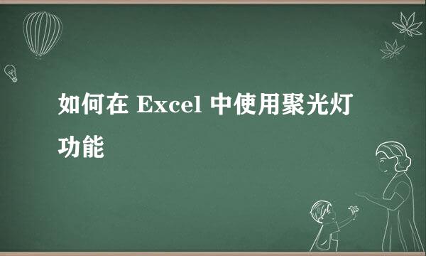 如何在 Excel 中使用聚光灯功能