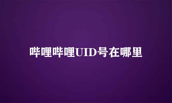 哔哩哔哩UID号在哪里