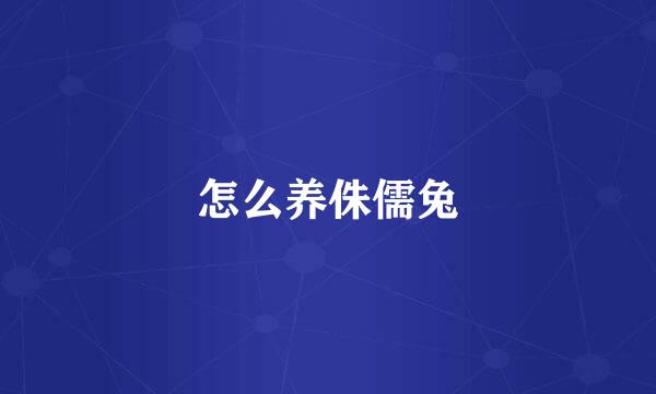 怎么养侏儒兔