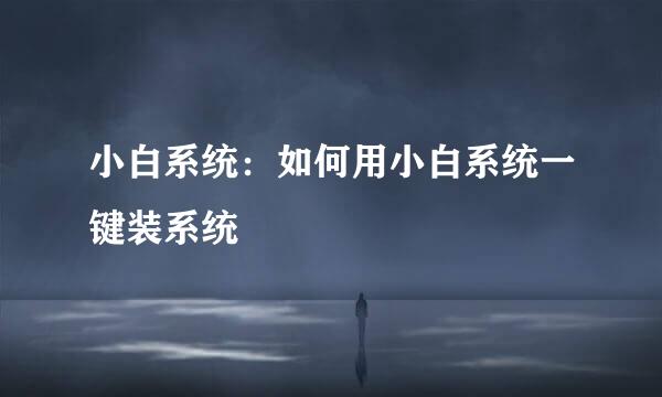 小白系统：如何用小白系统一键装系统