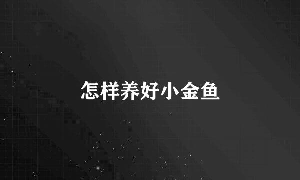 怎样养好小金鱼
