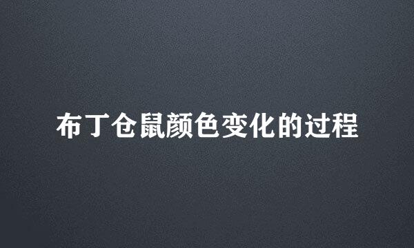 布丁仓鼠颜色变化的过程