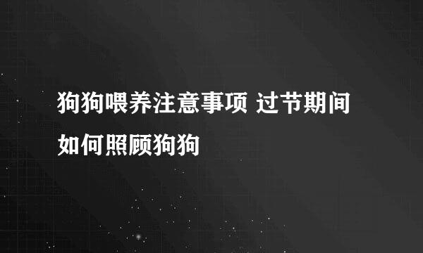 狗狗喂养注意事项 过节期间如何照顾狗狗