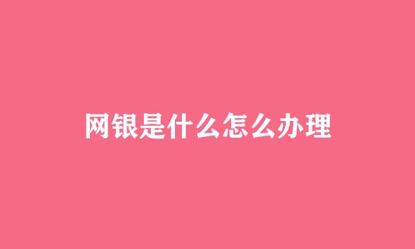 网银是什么怎么办理