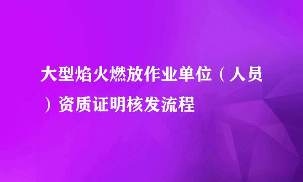 大型焰火燃放作业单位（人员）资质证明核发流程