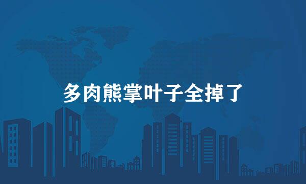 多肉熊掌叶子全掉了