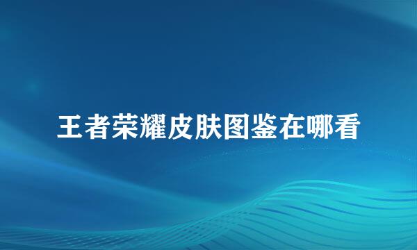 王者荣耀皮肤图鉴在哪看