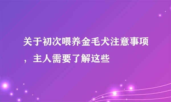 关于初次喂养金毛犬注意事项，主人需要了解这些
