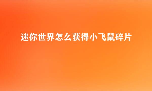 迷你世界怎么获得小飞鼠碎片