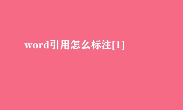 word引用怎么标注[1]