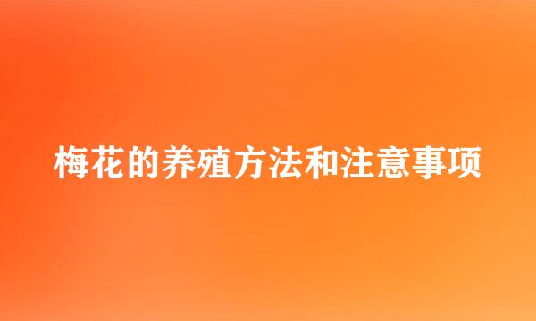 梅花的养殖方法和注意事项