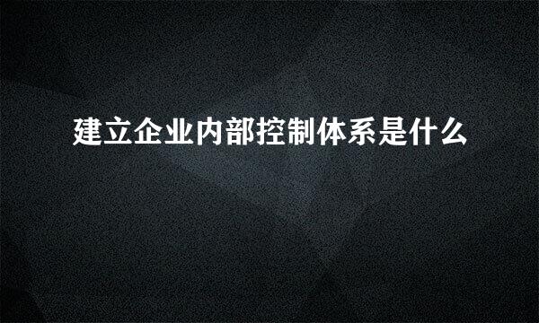 建立企业内部控制体系是什么