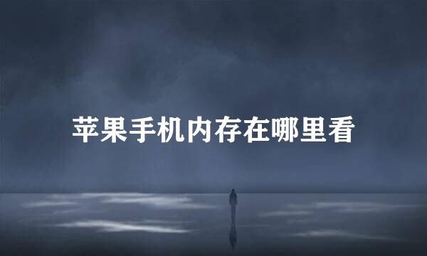 苹果手机内存在哪里看