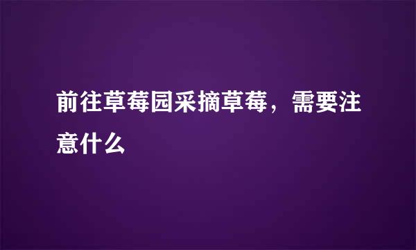 前往草莓园采摘草莓，需要注意什么