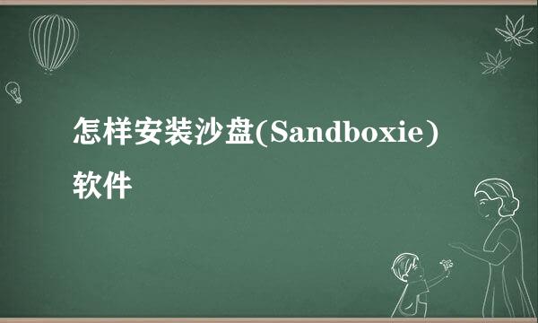 怎样安装沙盘(Sandboxie) 软件
