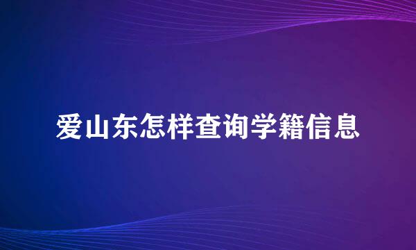 爱山东怎样查询学籍信息