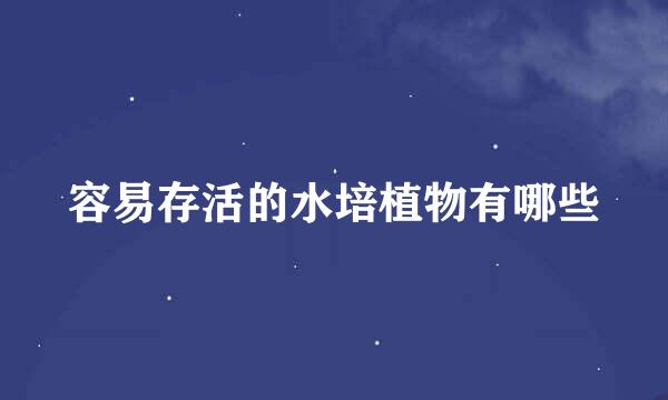 容易存活的水培植物有哪些